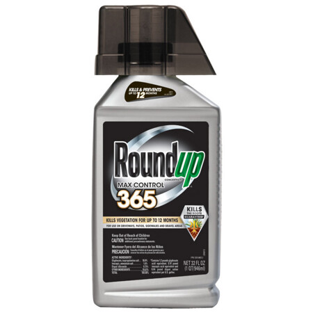ROUNDUP MAX CONTROL CONC 32OZ