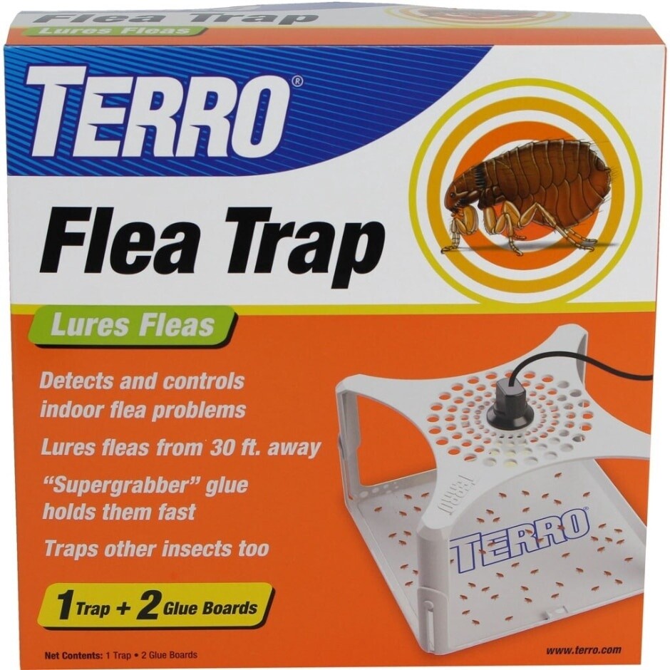 TERRO FLEA TRAPS
