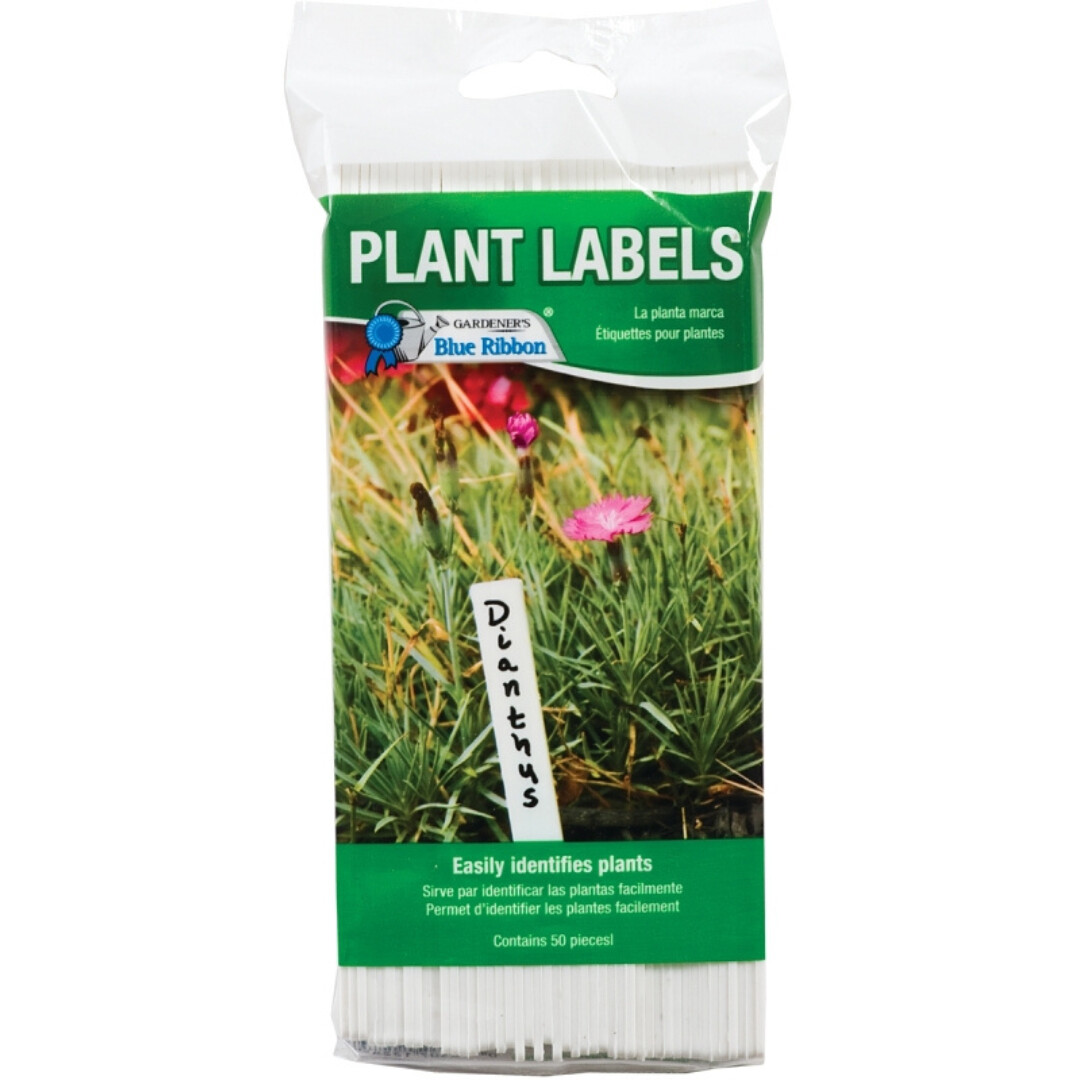 PLANT LABEL 6IN 50PK