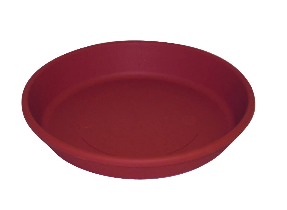 SAUCER 10IN PLASTIC TC