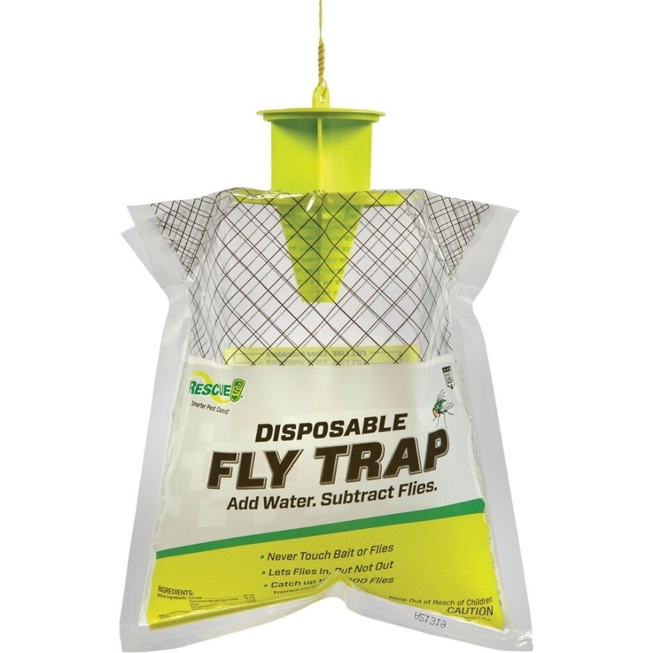 FLY TRAP DISPOSABLE