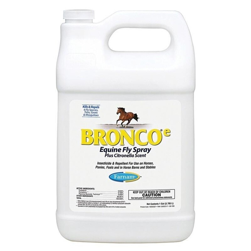 BRONCO E GAL