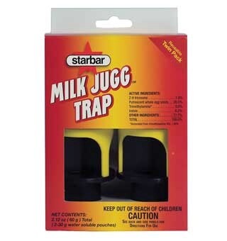 MILK JUG FLY TRAP