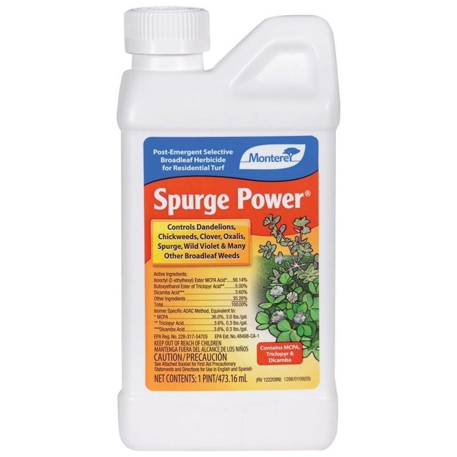 SPURGE POWER 8OZ