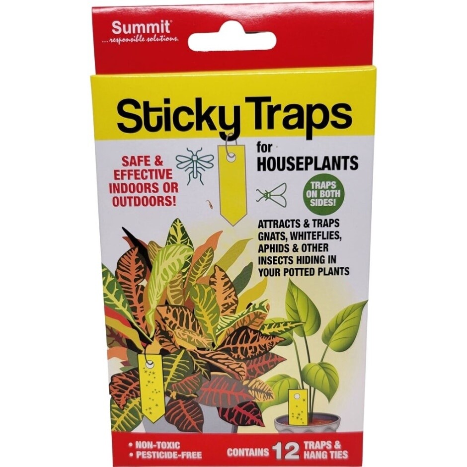 HOUSEPLANT INSECT TRAPS 12CT