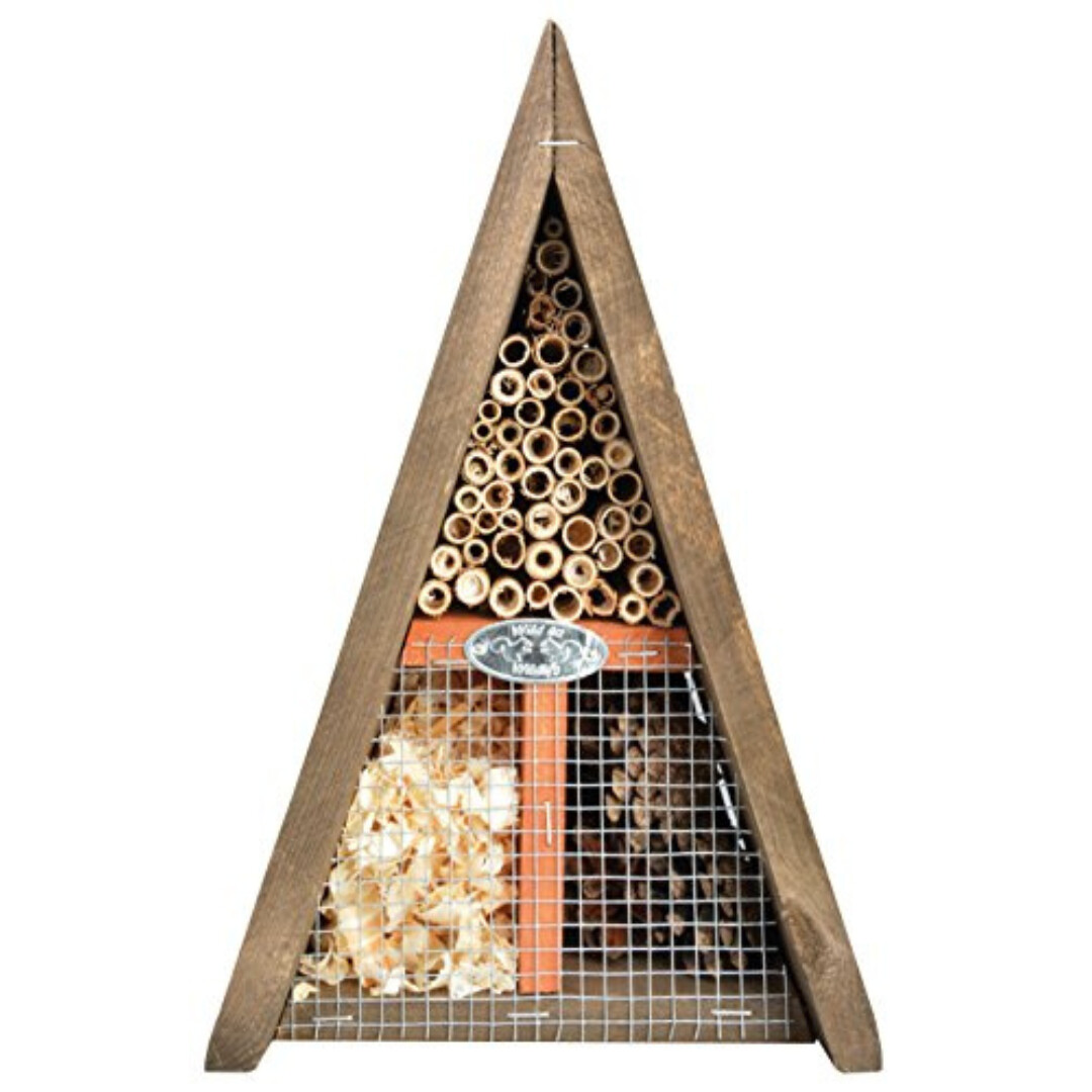 INSECT HOUSE