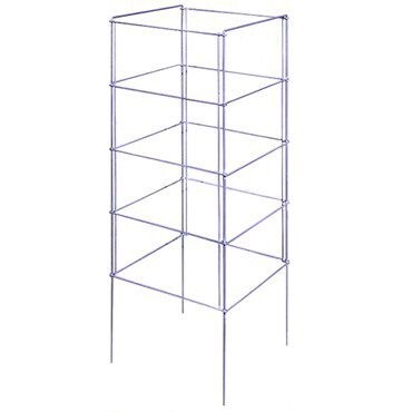 TOMATO CAGE SQUARE 15X48