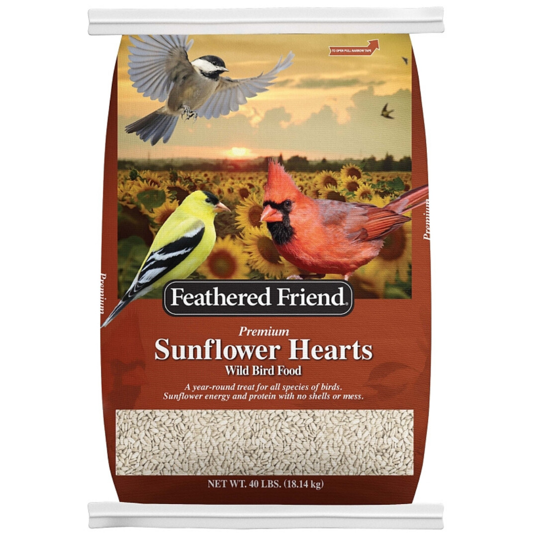 SUNFLOWER HEARTS 20LB