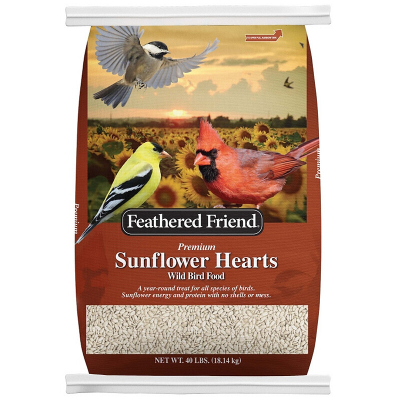 SUNFLOWER HEARTS 20LB