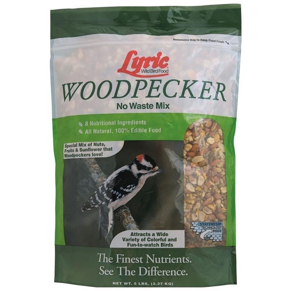 LYRIC WOODPECKER 5LB