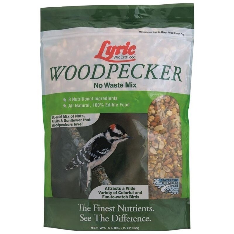 LYRIC WOODPECKER 5LB
