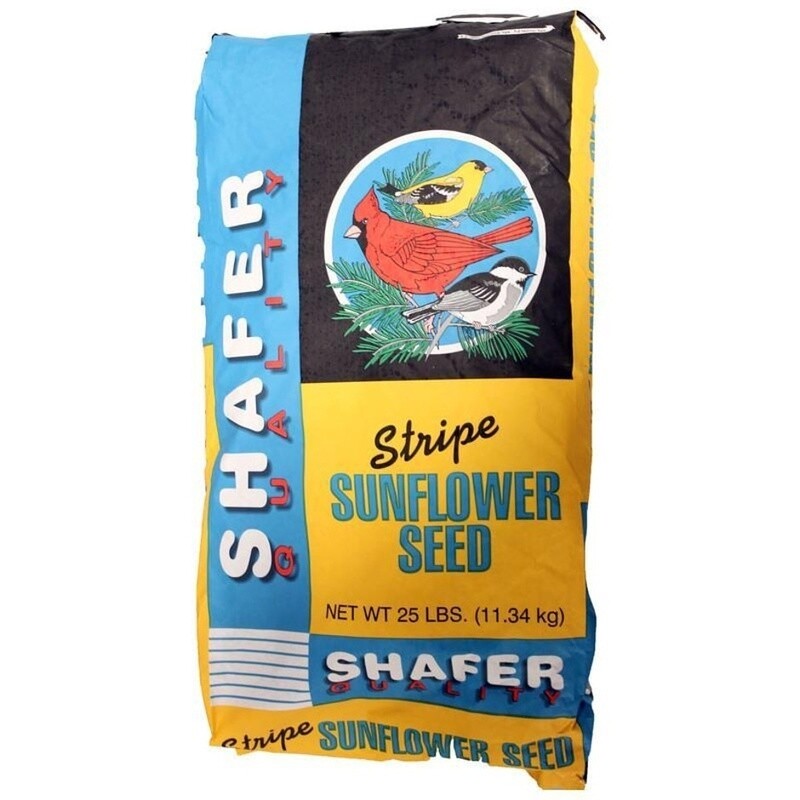 STRIPED SUNFLOWER 25LB