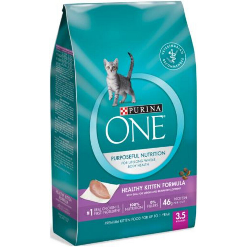 ONE KITTEN 3.5LB