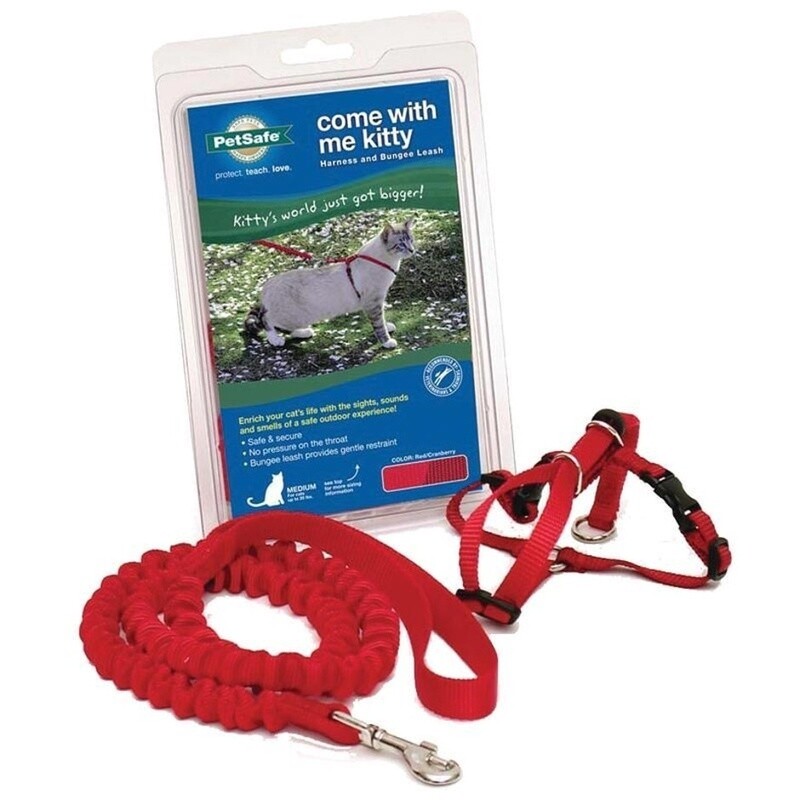 CAT HARNESS MEDIUM RED