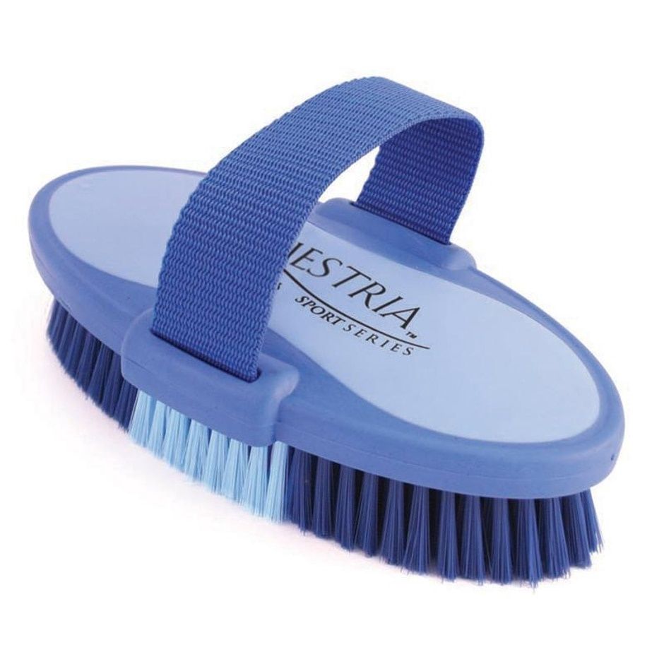 OVAL BRUSH LG BLUE