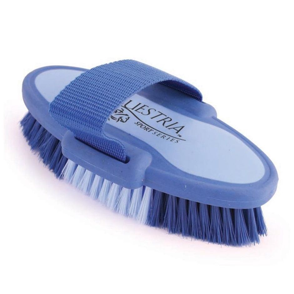 OVAL BRUSH SM BLUE