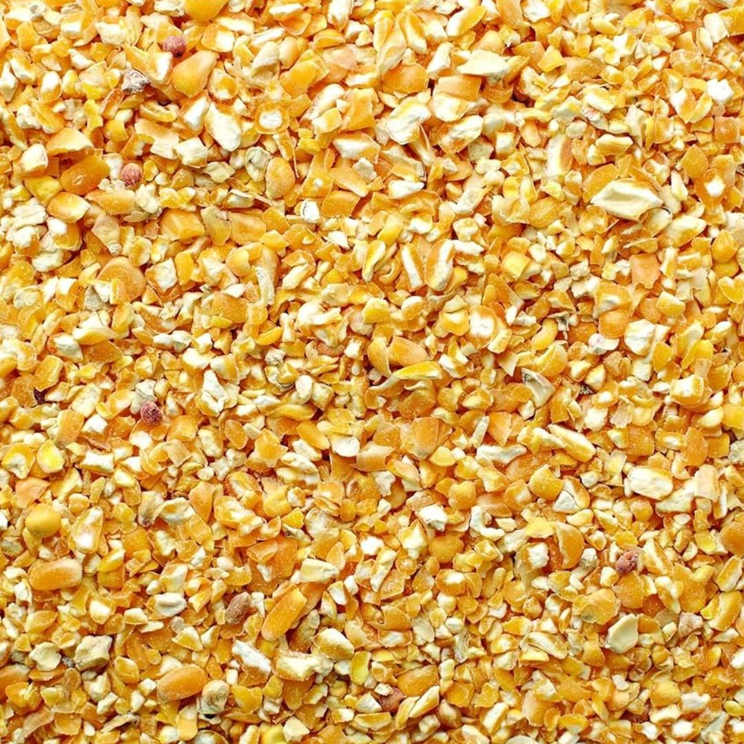 CRACKED CORN 100LB