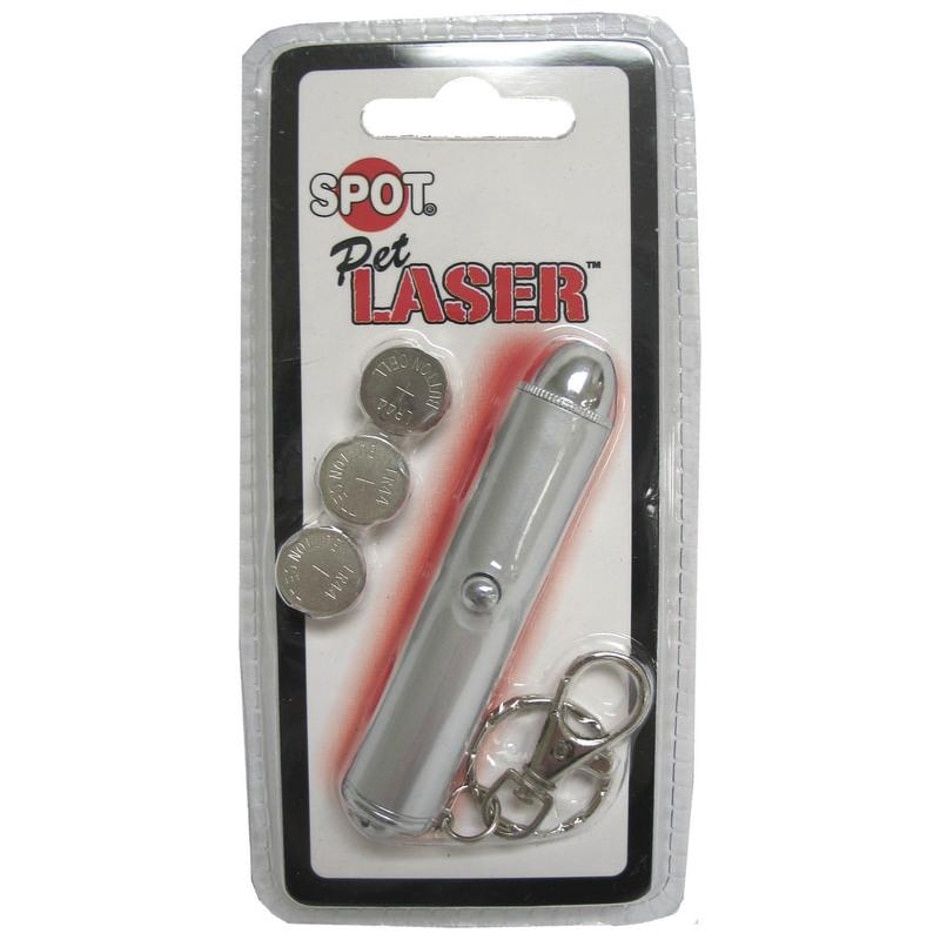 LASER CHASE