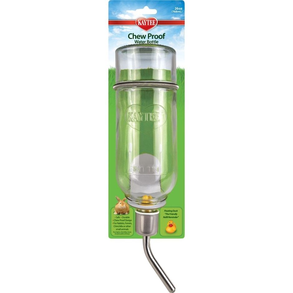CHEW PROOF GLASS WATER BOTTLE 26OZ