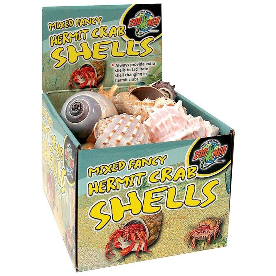 HERMIT CRAB SHELLS