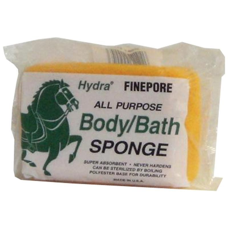 BODY SPONGE FSB-1