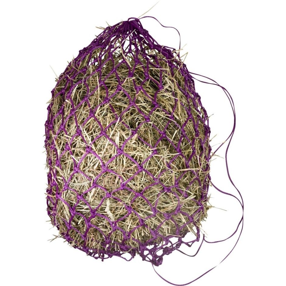 HAY NET SLOW FEEDER PURPLE