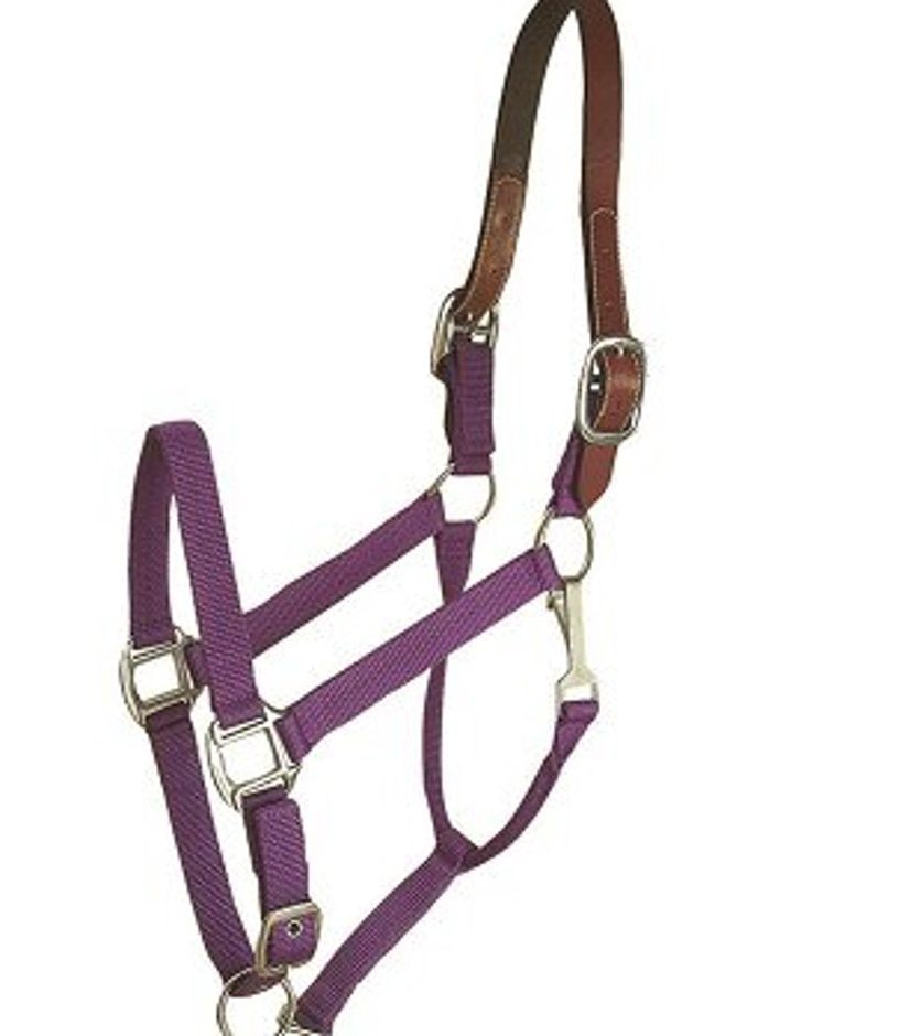 HALTER PURPLE BREAKAWAY W/SNAP OVERSIZE
