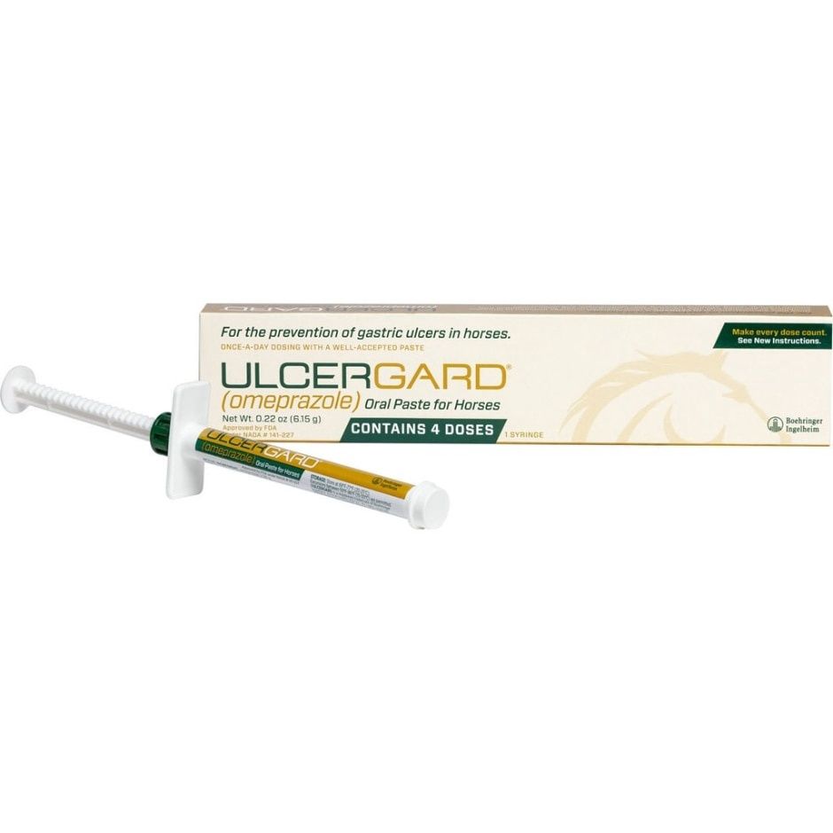 ULCERGARD ORAL PASTE