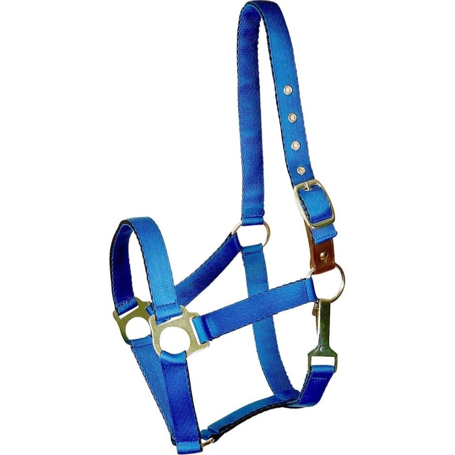 HALTER CUSHIONED PONY BLUE