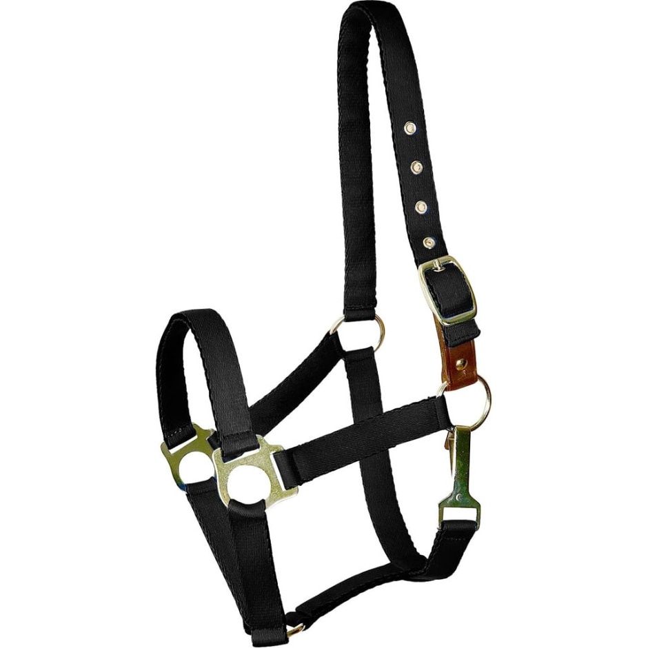 HALTER CUSHIONED PONY BLACK