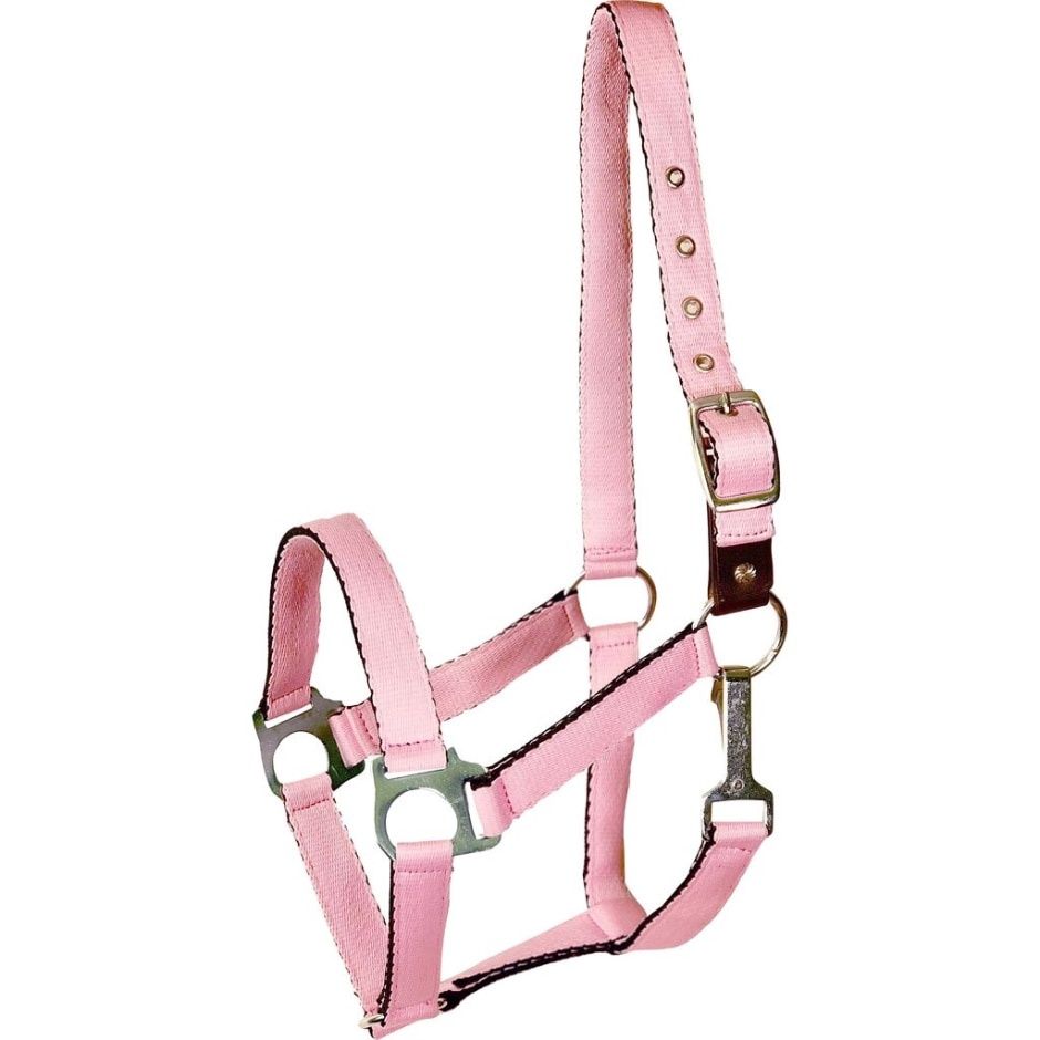 HALTER CUSHIONED FOAL PINK