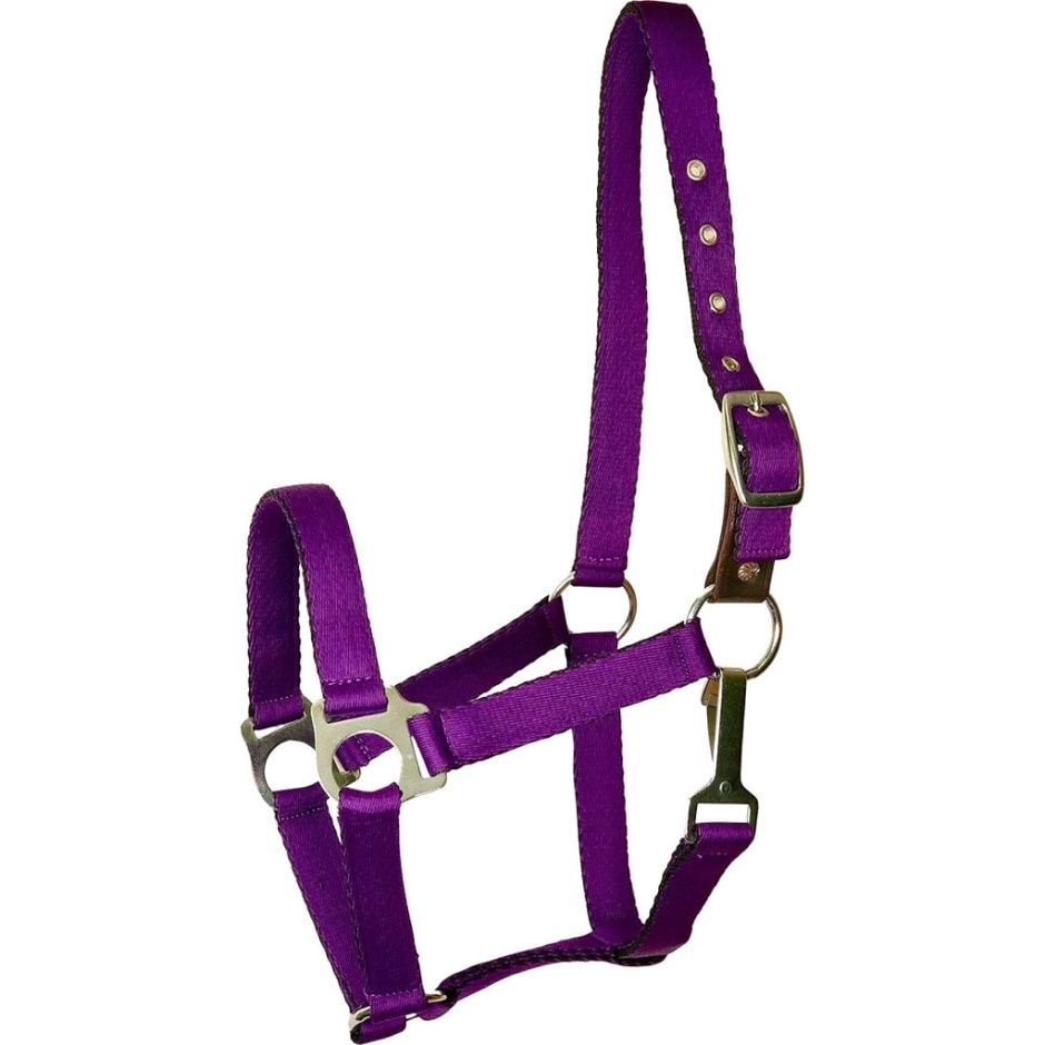 HALTER CUSHIONED HORSE PURPLE
