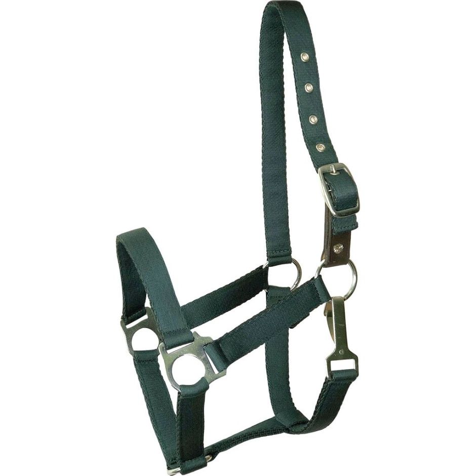 HALTER CUSHIONED PONY HUNTER