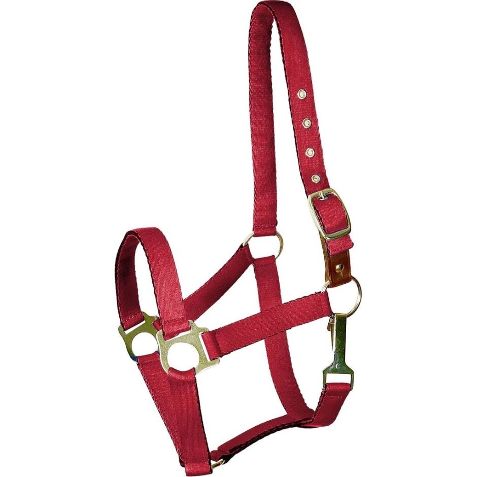 HALTER CUSHIONED HORSE RED