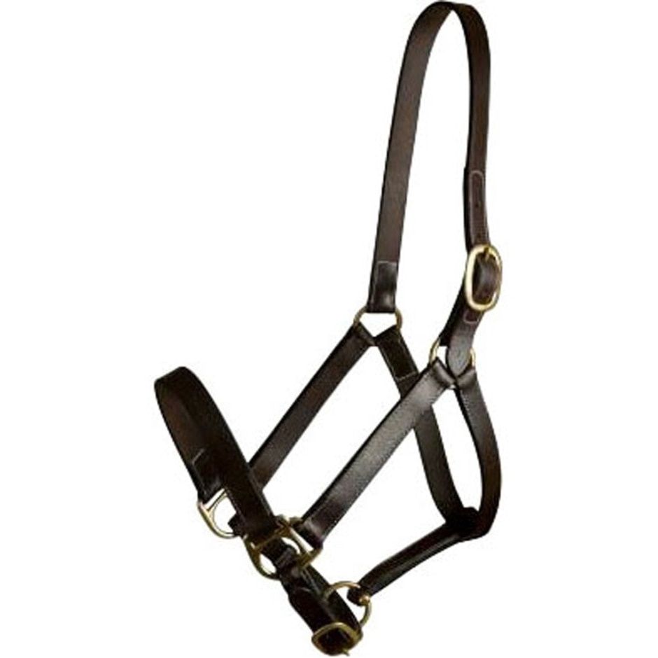 HALTER LEATHER SUCKLING