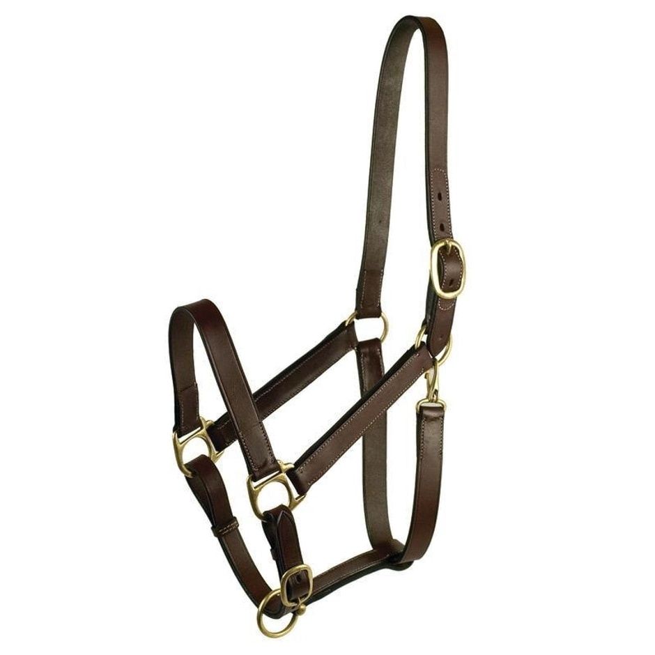 HALTER LEATHER W/SNAP HORSE