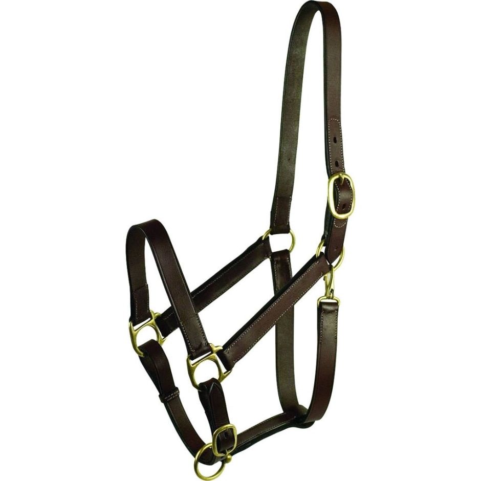 HALTER LEATHER W/SNAP SUCKLING