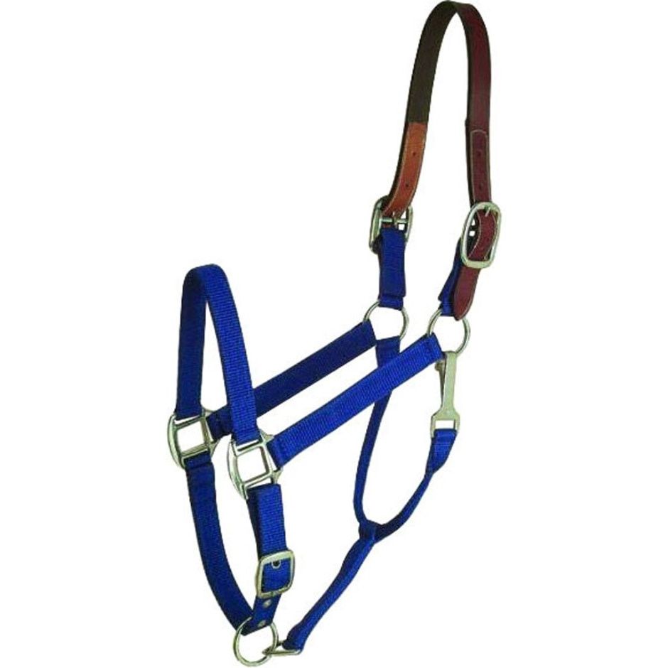 HALTER BLUE BREAKAWAY HORSE