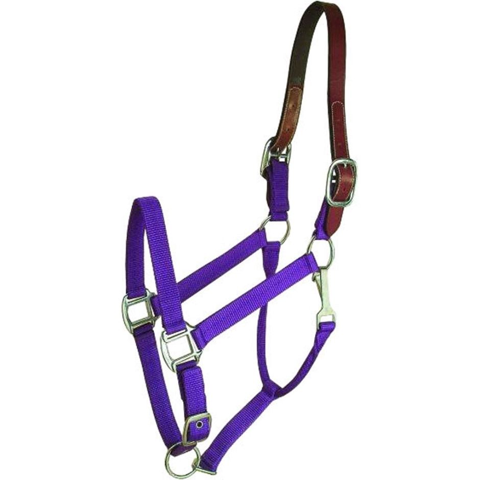 HALTER PURPLE BREAKAWAY HORSE