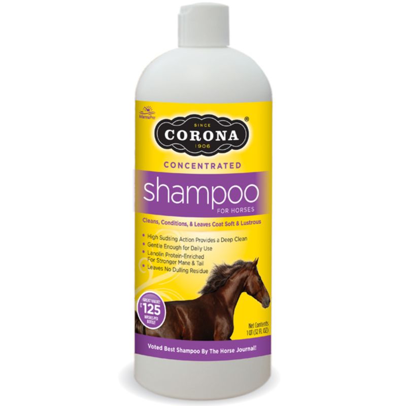 CORONA SHAMPOO QT
