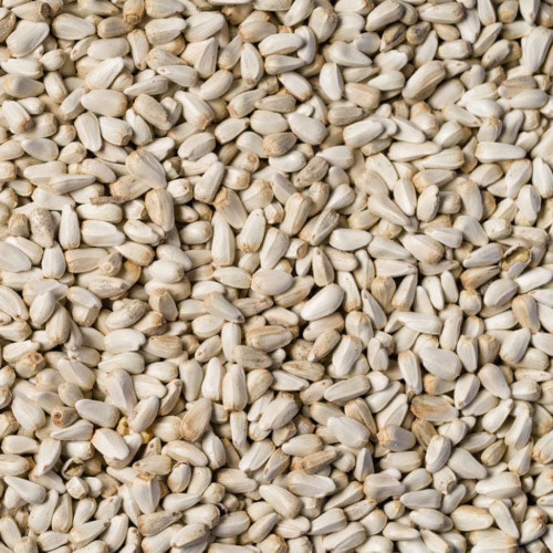 SAFFLOWER 50LB