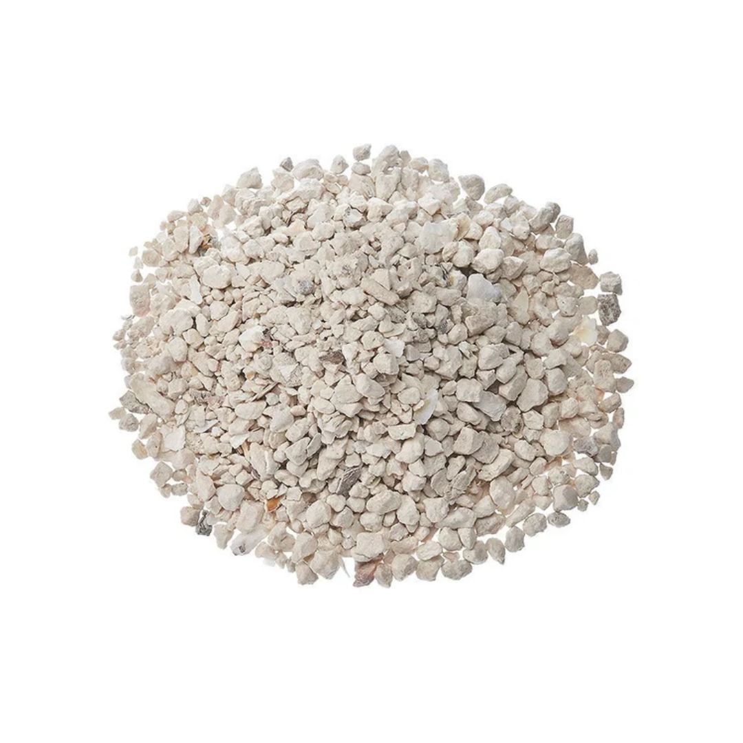 OYSTER SHELL 50LB