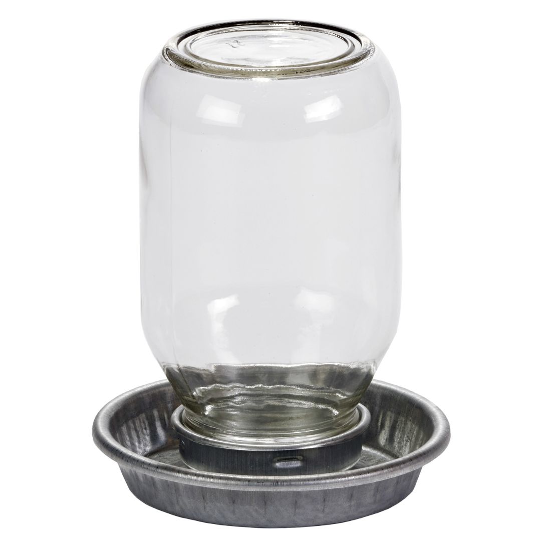 BABY CHICK WATERER W/MASON JAR
