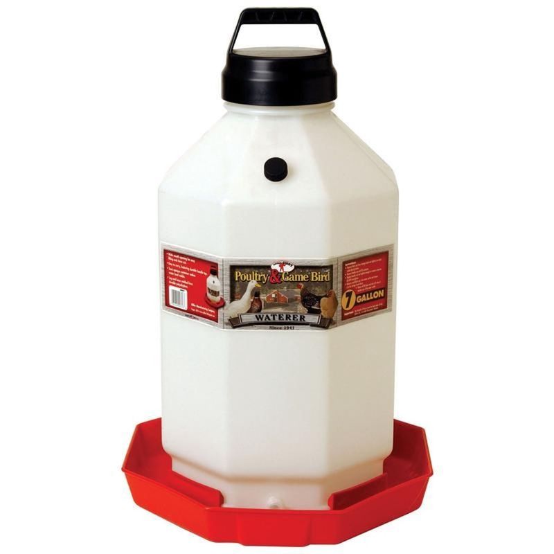 POULTRY &amp; GAME BIRD WATERER PLASTIC PPF7 7GAL