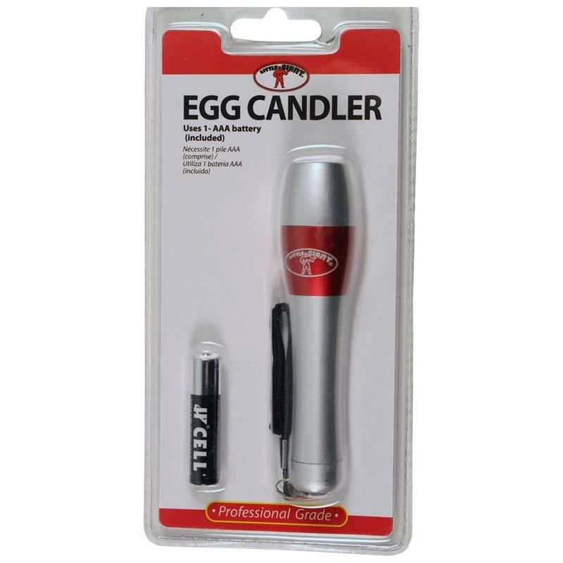EGG CANDLER