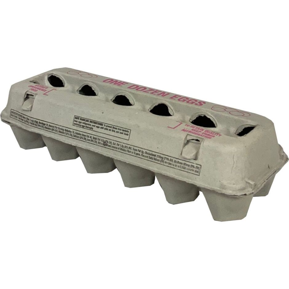 EGG CARTON