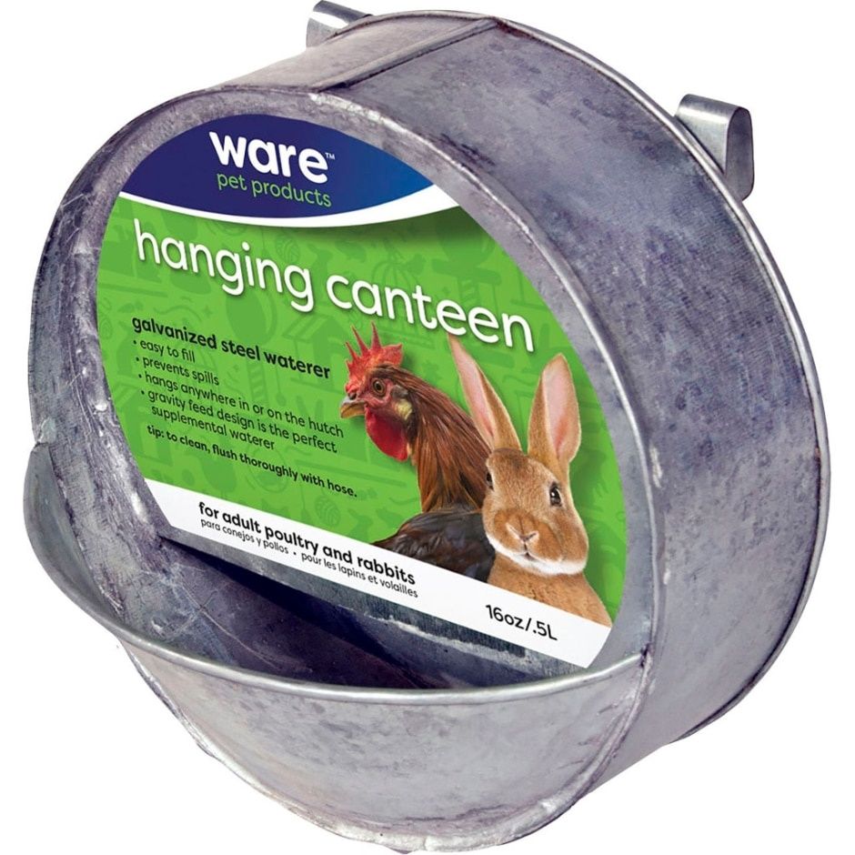 HANGING CHICKEN CANTEEN
