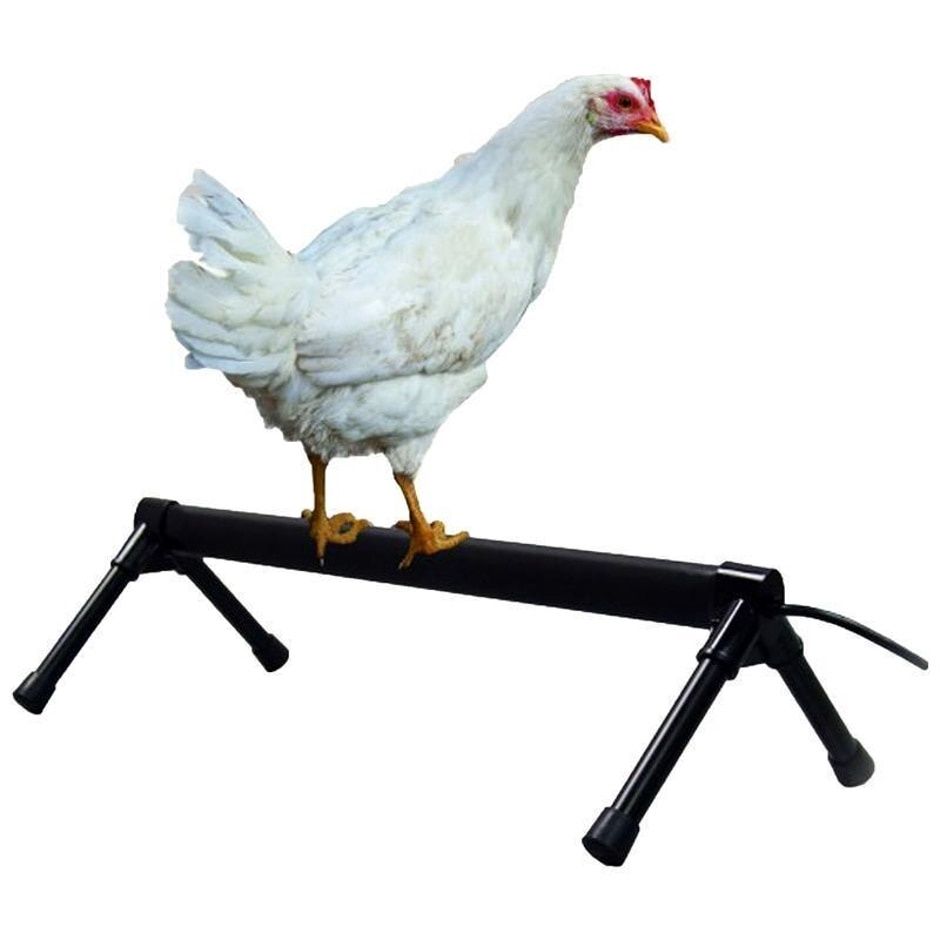 THERMO CHICKEN PERCH