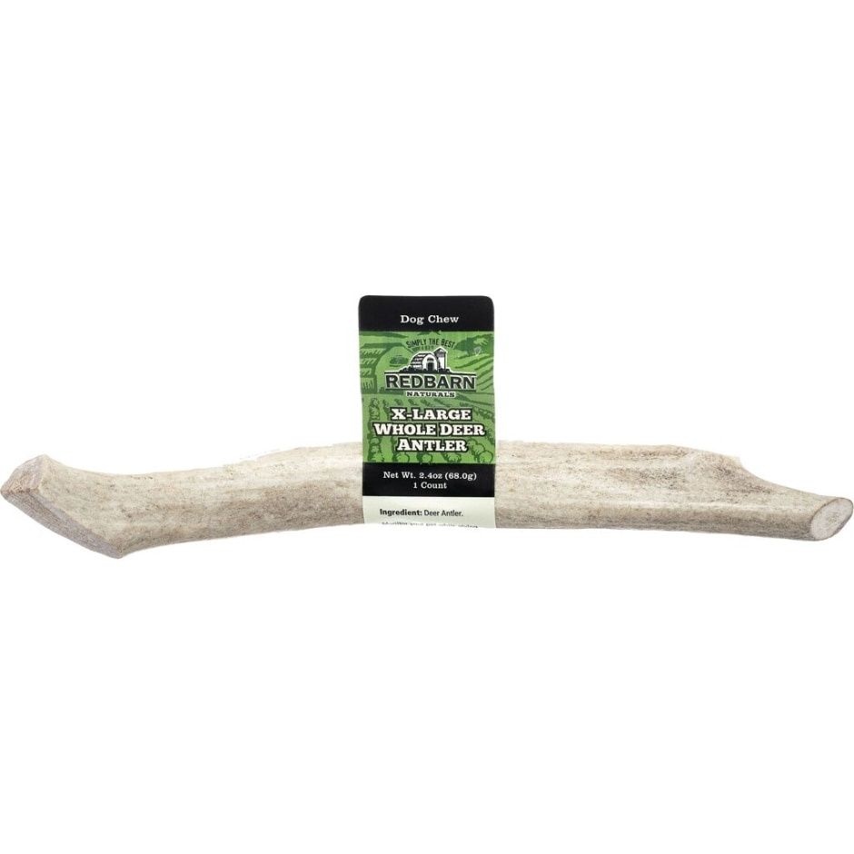 ANTLER DEER WHOLE XL