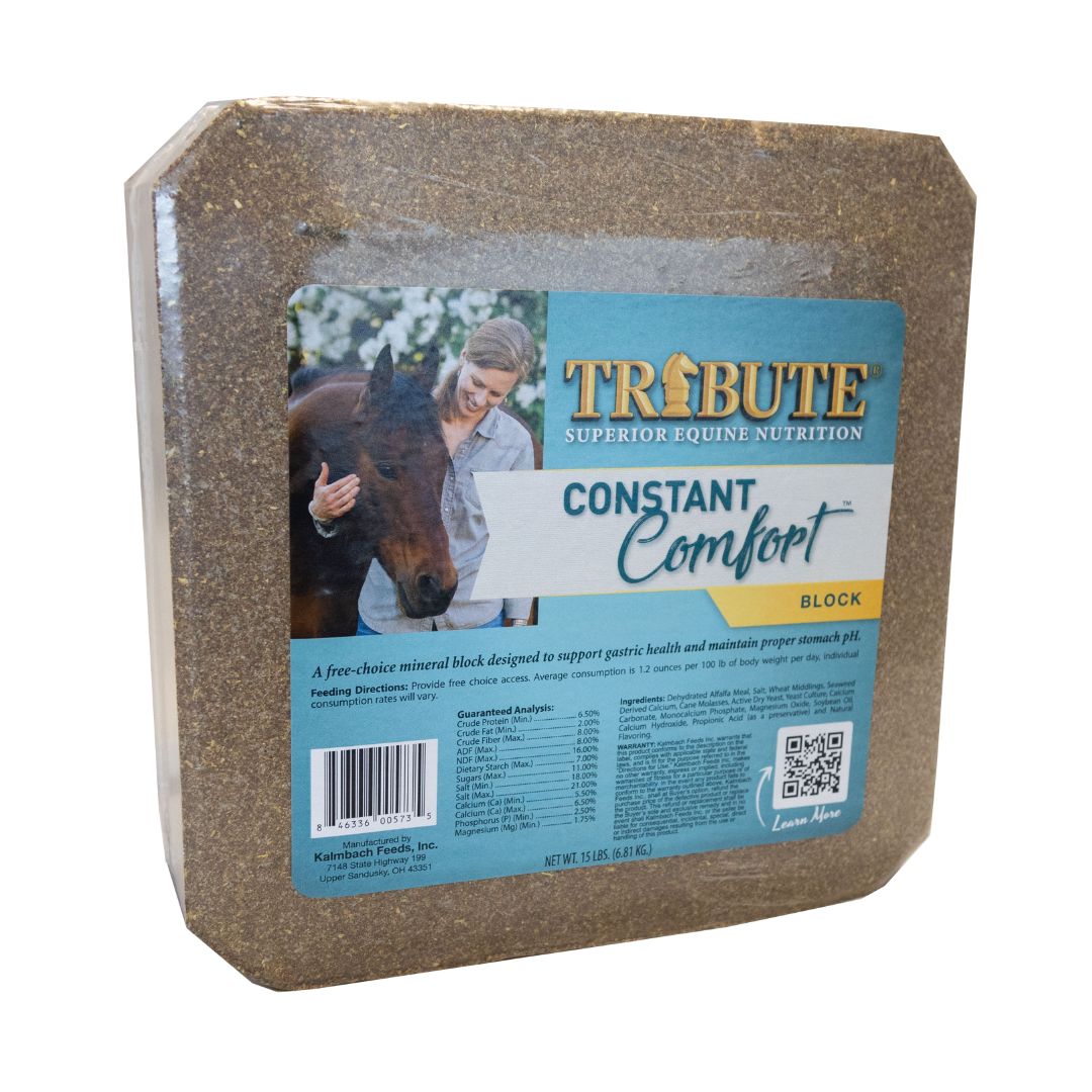 TRIBUTE CONSTANT COMFORT BLOCK 15LB
